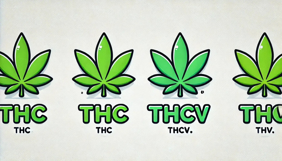 Lettere “THC vs THCV” con foglie di cannabis in stile fumetto.