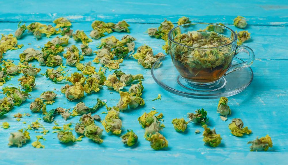 Che cos'è il Live Resin? Scopri gli estratti premium di Cannabis-Canapuff
