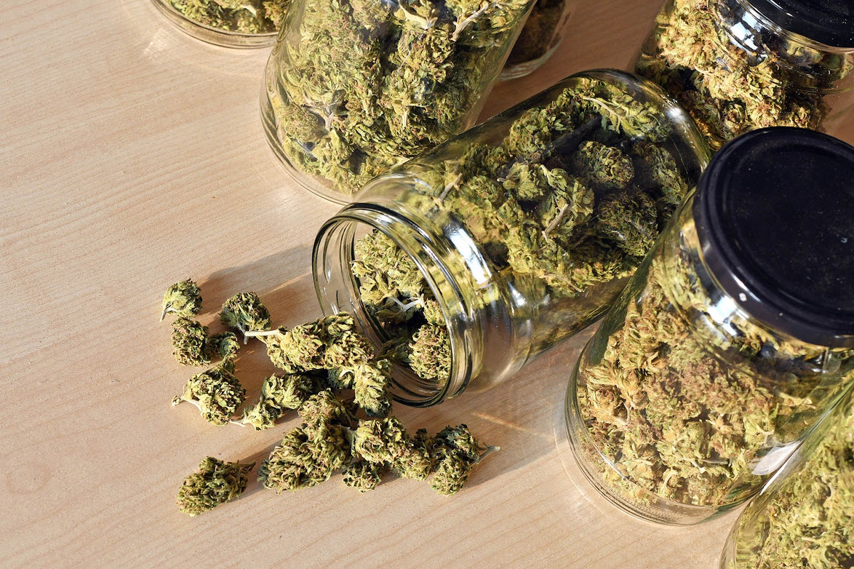 Barattoli di vetro pieni di fiori di cannabis essiccati su superficie di legno