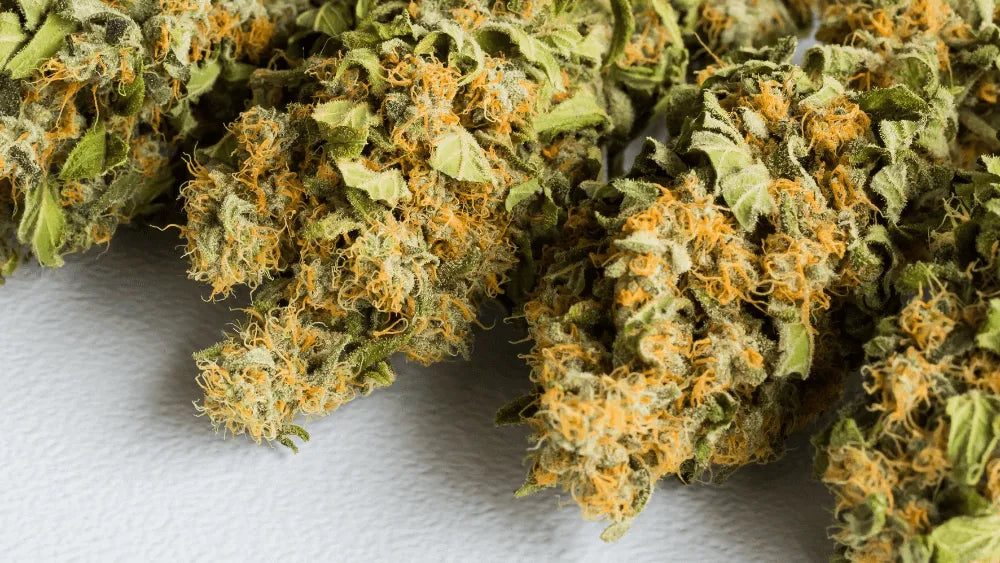 HHC PO il futuro dell'innovazione nella Cannabis