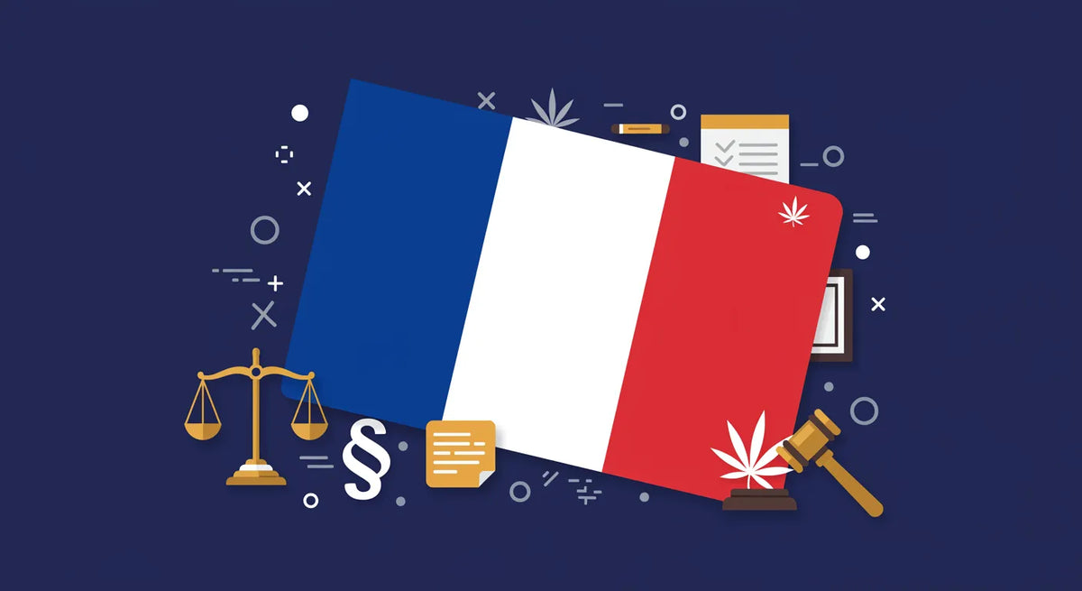 Bandiera della Francia con elementi legali