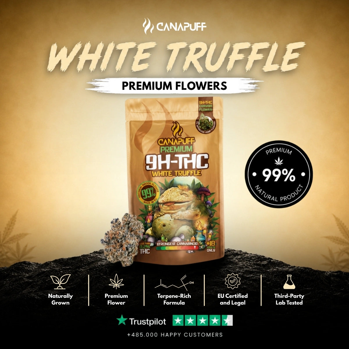 9H-THC Fiori White Truffle 99% – infiorescenze, foto 2