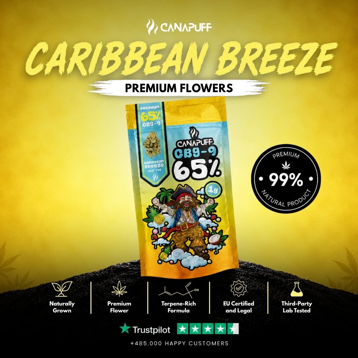 CBG9 Fiori Caribbean Breeze 65% – infiorescenze, foto 2