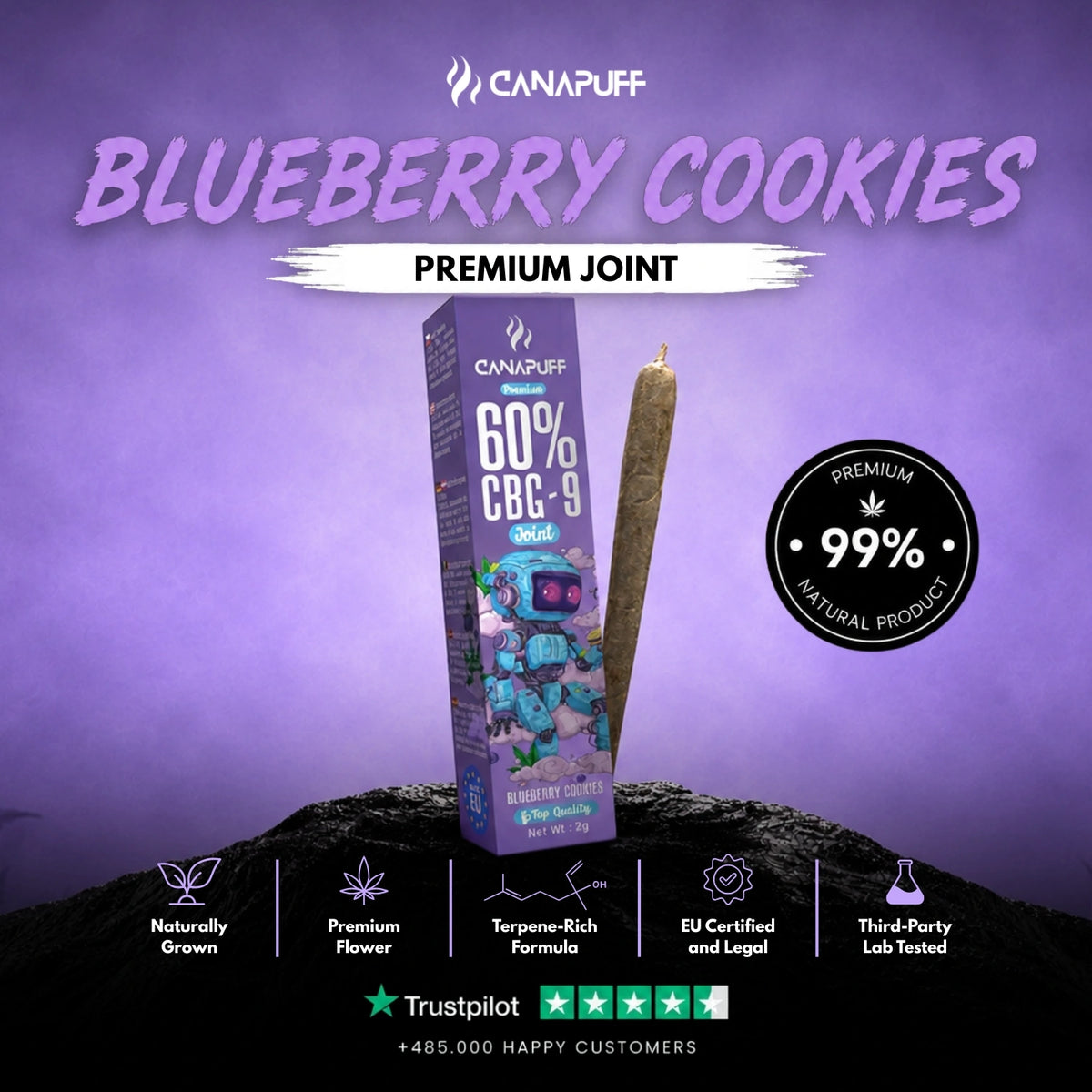 CBG9 Joint Blueberry Cookies 60% 2g – joint pre-rollato, foto 2