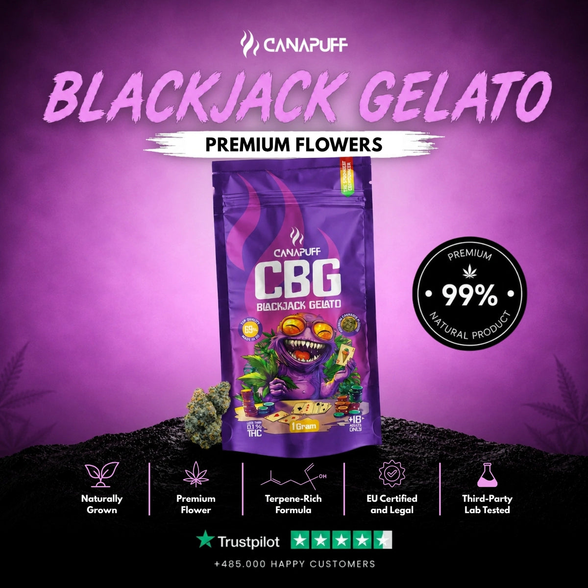 CBG Fiori Blackjack Gelato 69% – infiorescenze, foto 2