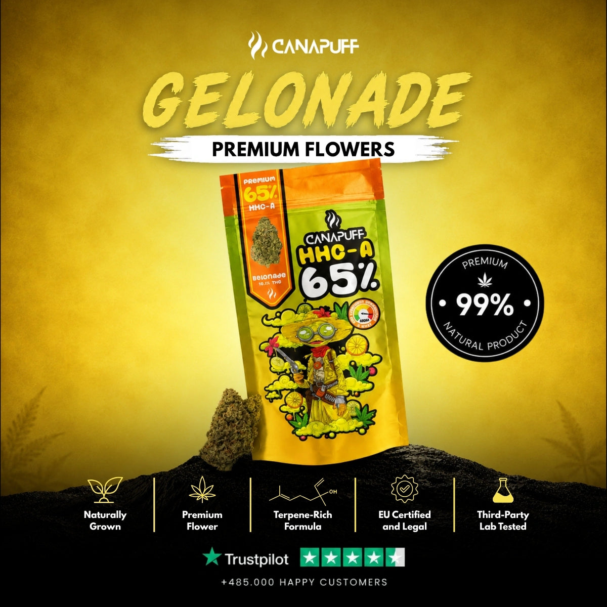 HHC-A Fiori Gelonade 65% – infiorescenze, foto 2