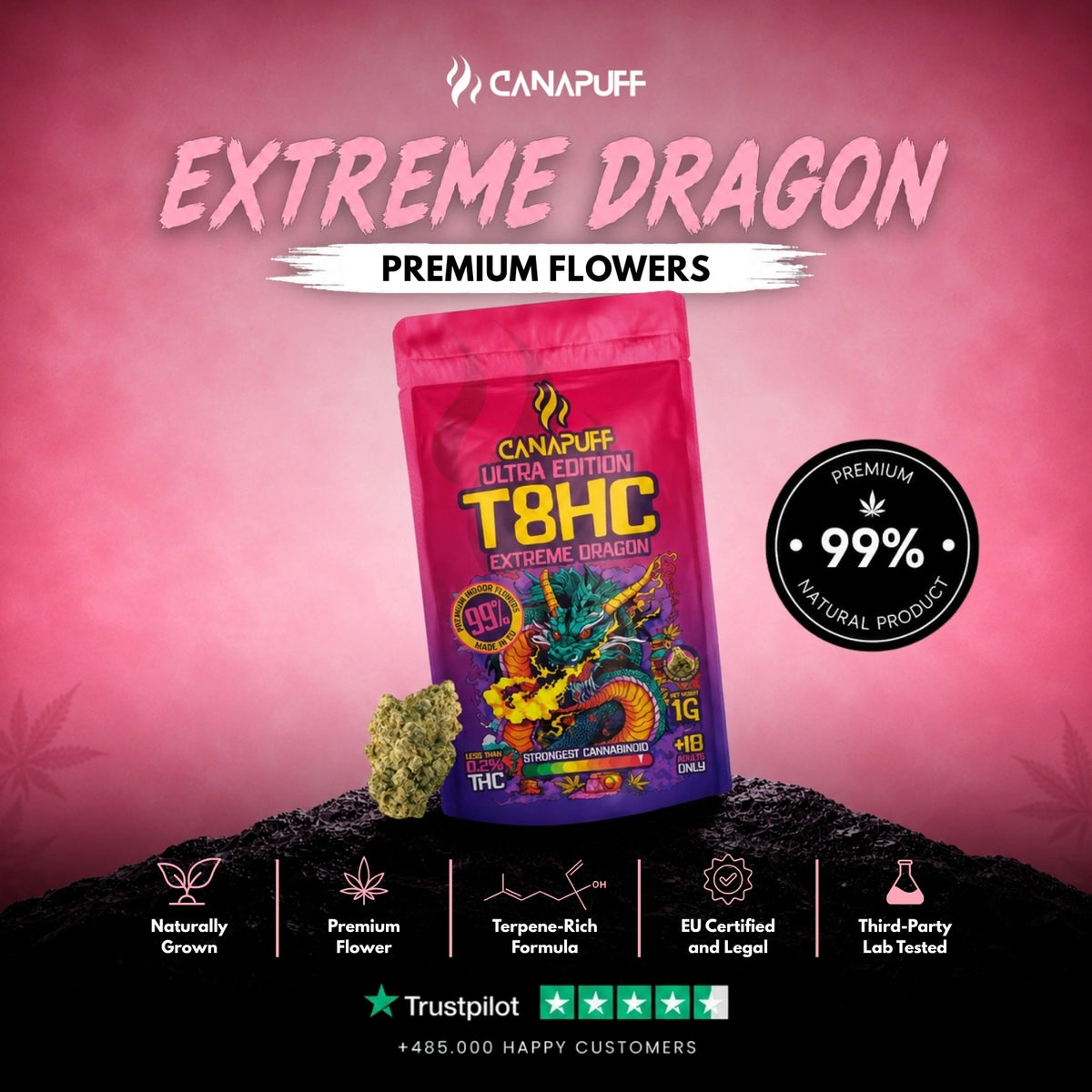 T8HC Fiori Extreme Dragon 99% – infiorescenze, foto 2