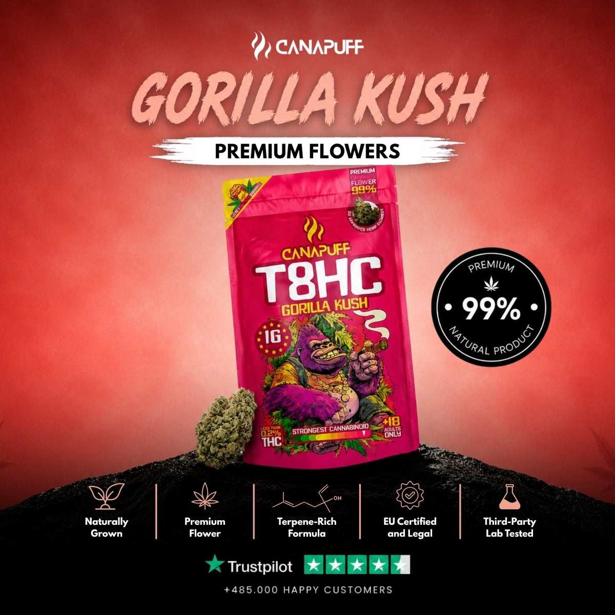 T8HC Fiori Gorilla Kush 99% – infiorescenze, foto 2