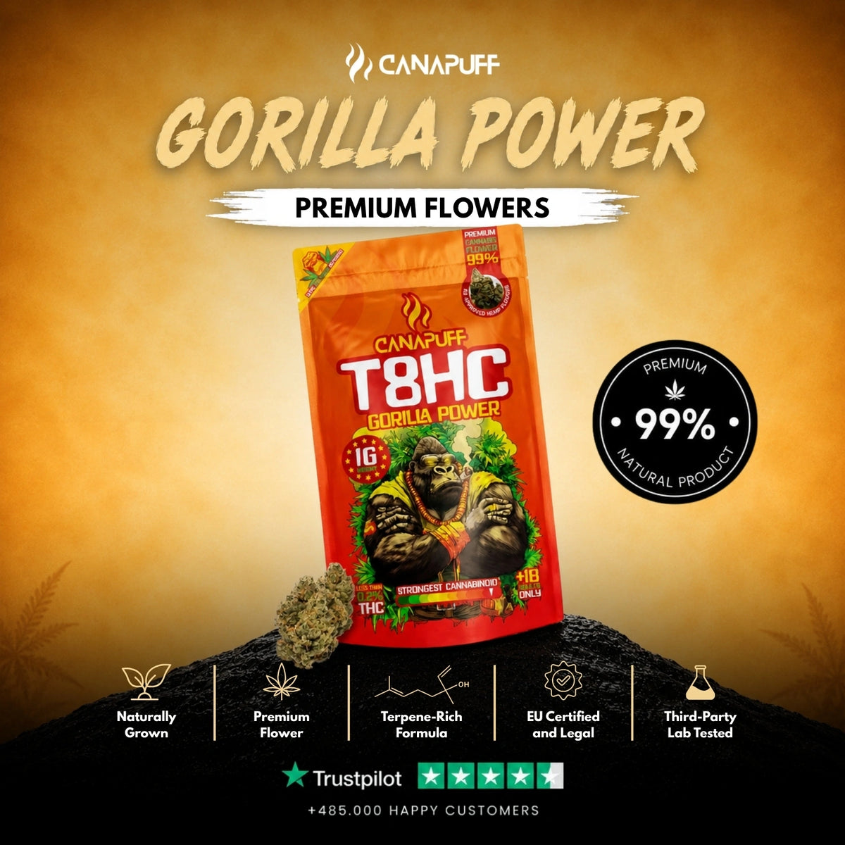 T8HC Fiori Gorilla Power 99% – infiorescenze, foto 2