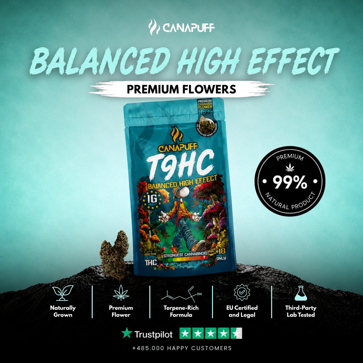 TⳊHC Fiori Balanced 99% – infiorescenze, foto 2