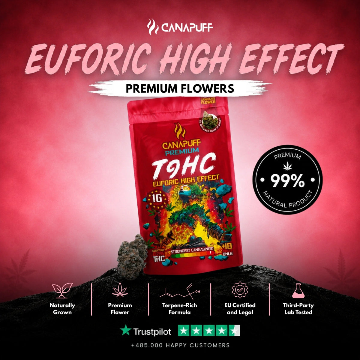 TⳊHC Fiori Euforic 99% – infiorescenze, foto 2
