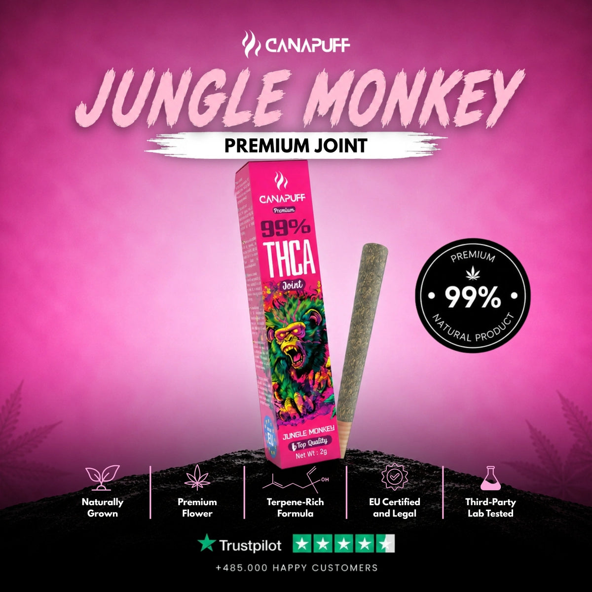 THCA Joint Jungle Monkey 99% 2g – joint pre-rollato, foto 2