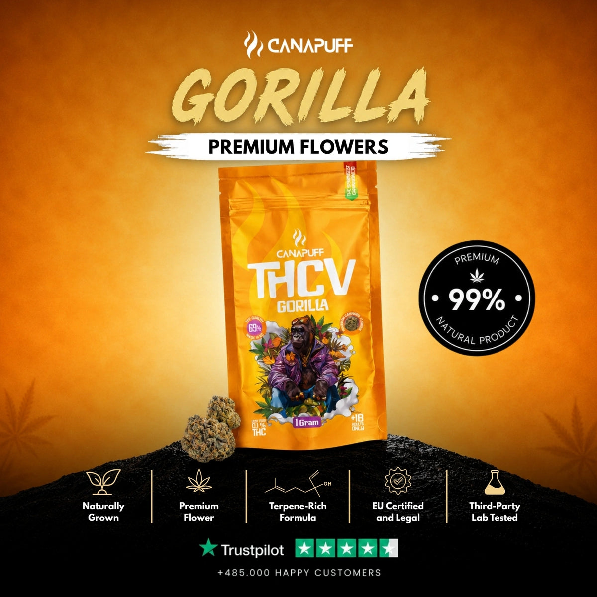 THCv Fiori Gorilla 69% – infiorescenze, foto 2