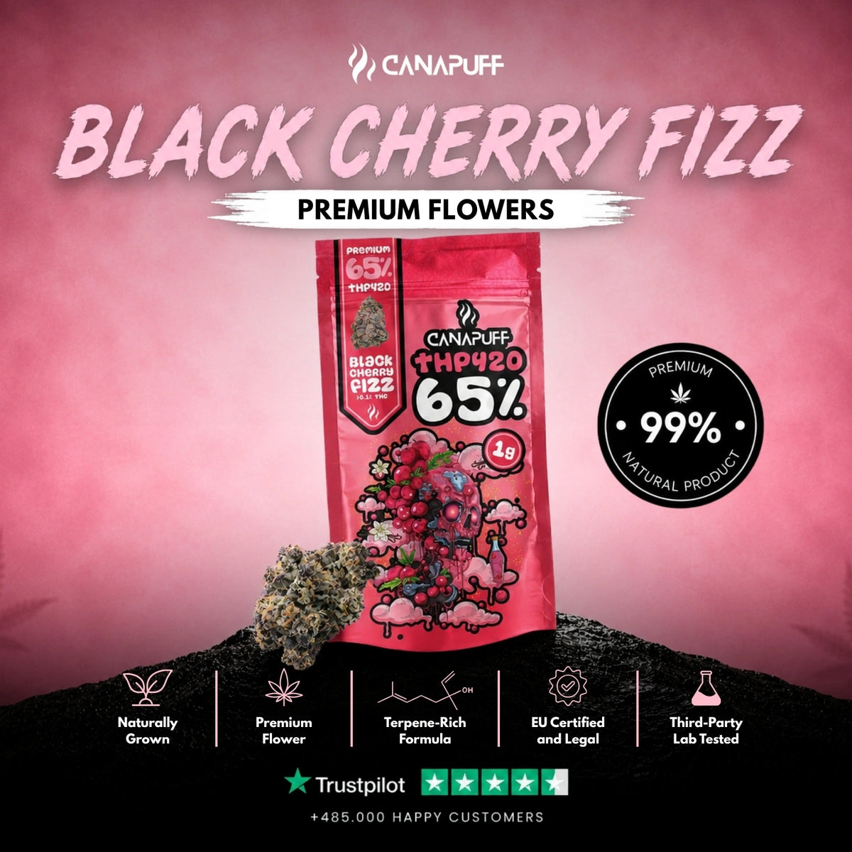 THP420 Fiori Black Cherry Fizz 65% – infiorescenze, foto 2