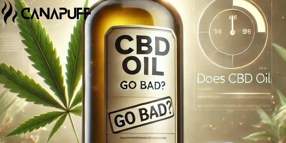 L’olio di CBD scade? Scopri come capire se l’olio di CBD è andato a male-Canapuff