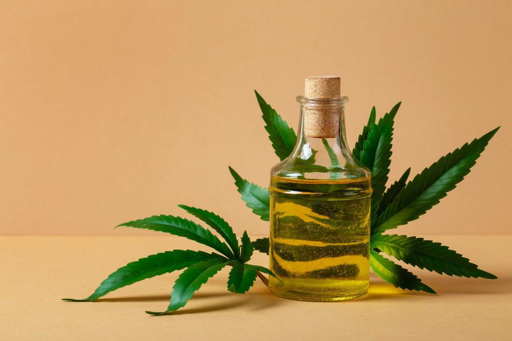 Come fare e usare l’olio di Cannabis fatto in casa-Canapuff