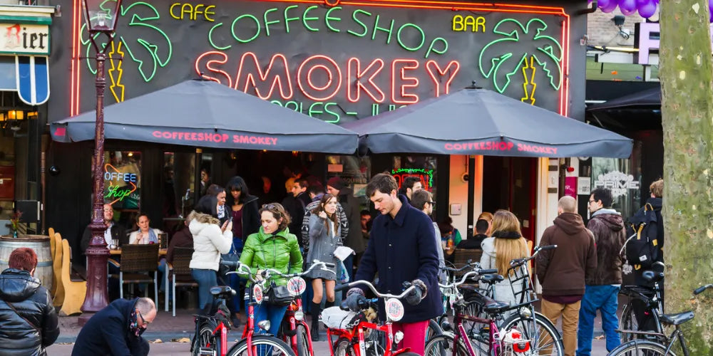 I migliori Coffeeshop di Amsterdam 2024: i posti migliori per Cannabis-Canapuff