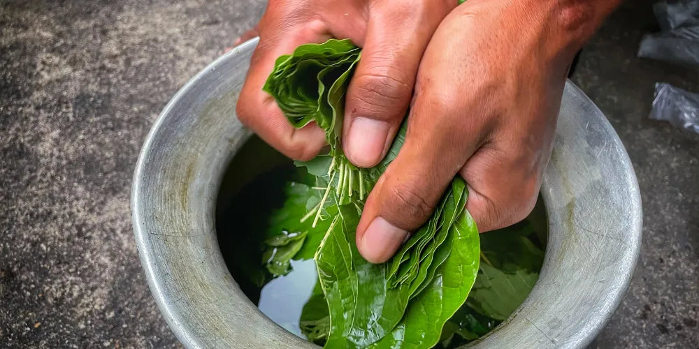 quanta kratom assumere