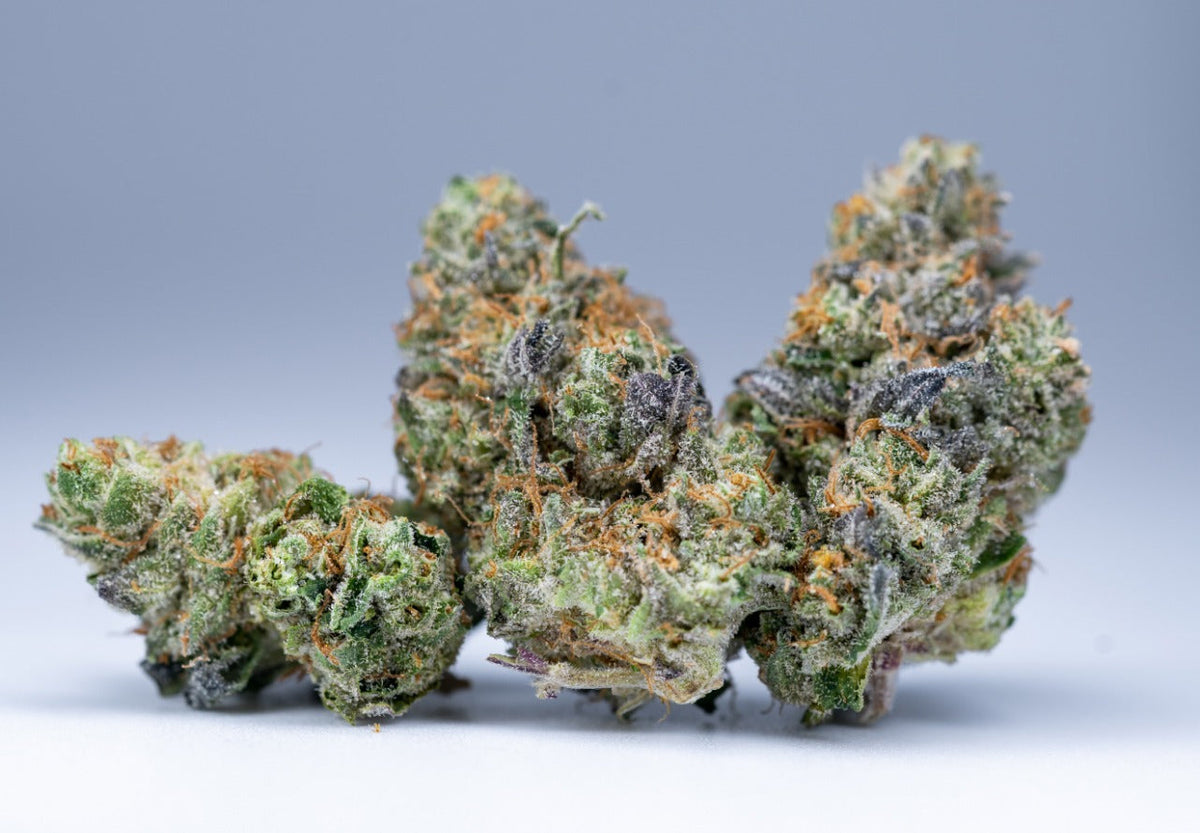 Cime di cannabis con tricomi cristallini su sfondo neutro