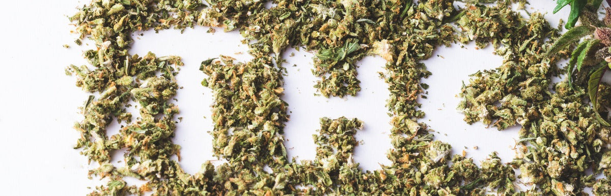 Fiori di cannabis essiccati disposti su sfondo bianco con dettaglio di una foglia verde