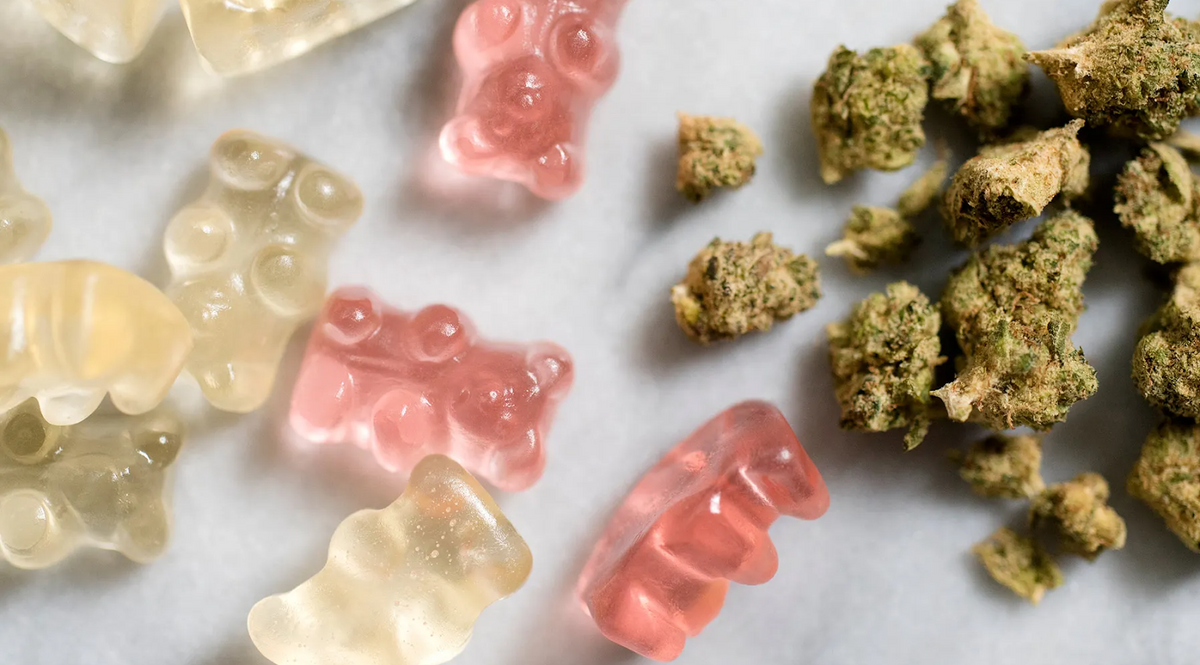 Orsetti gommosi trasparenti e rosa accanto a cime di cannabis su superficie bianca