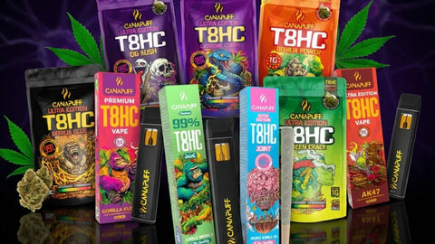 Che cos’è T8HC?