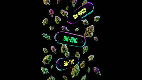 Alternative a 10-OH-HHC: Cosa stanno guardando ora le persone
