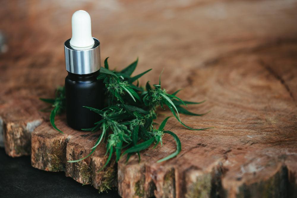 THCA: Benefici, utilizzo e migliori Strains di Cannabis-Canapuff
