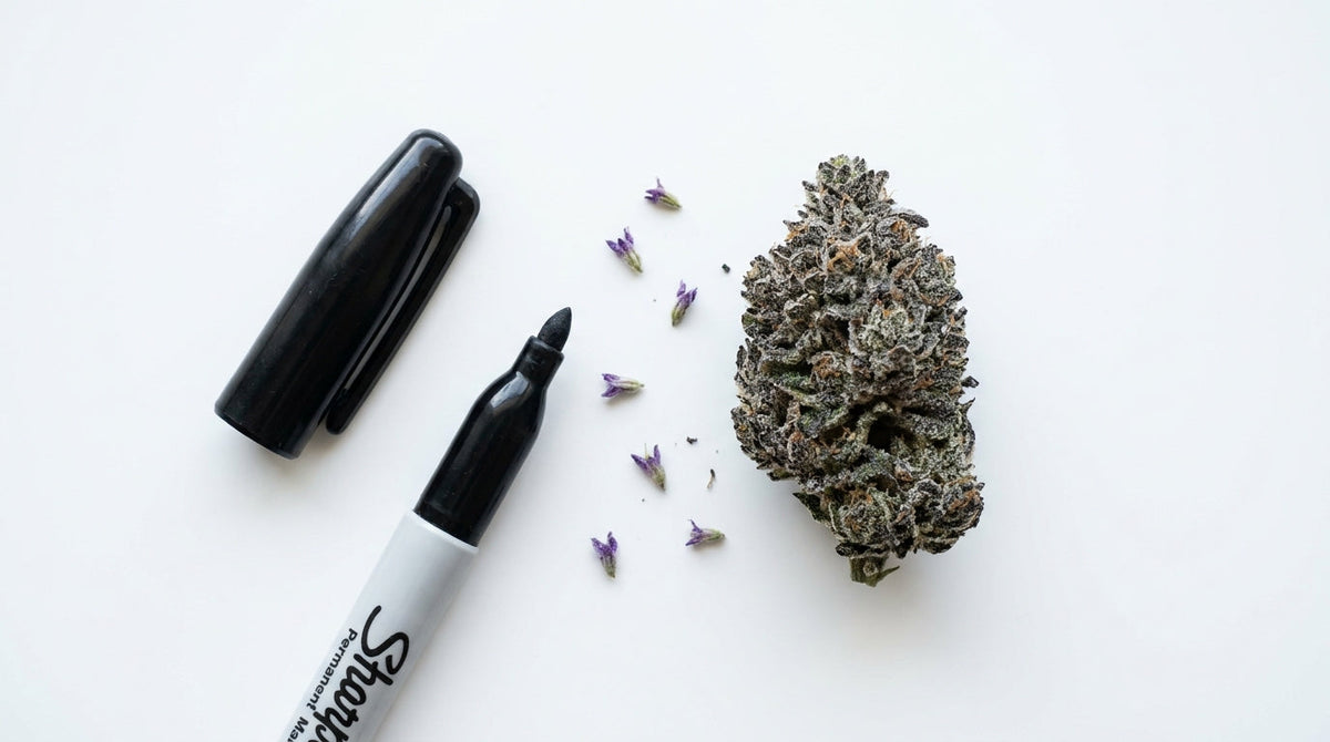 Pennarello indelebile aperto accanto a una densa cima di cannabis Permanent Marker con sfumature viola
