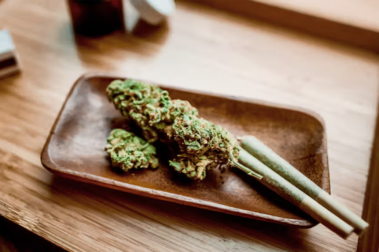 Fiori di cannabis e joints pre-rollati su un vassoio di legno
