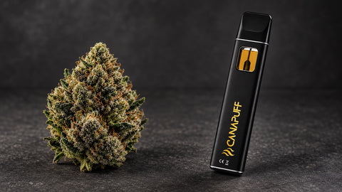 Fiore THCA vs Vape THCA: quale formato è giusto per te?
