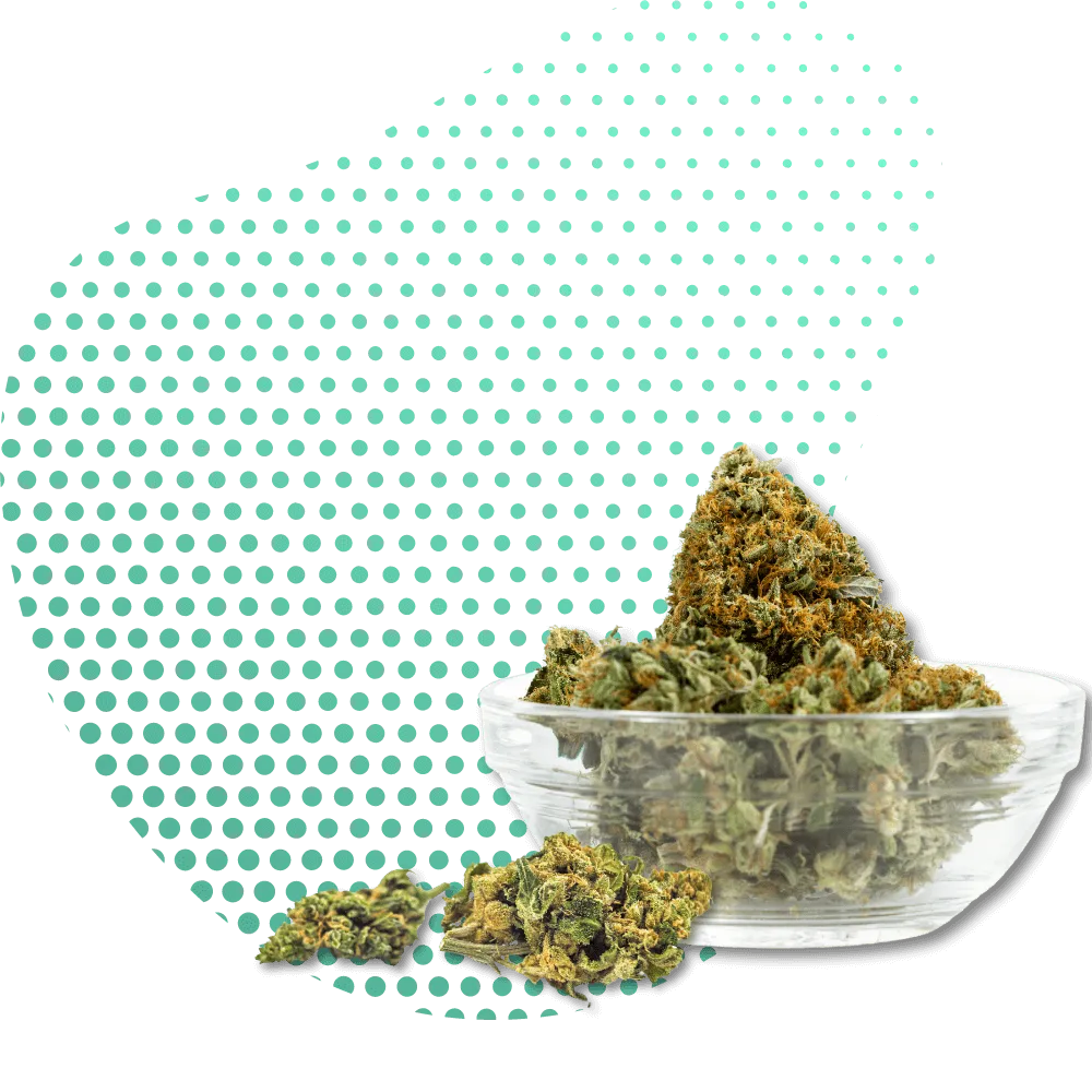 Fiore 10-OH-HHC-Canapuff