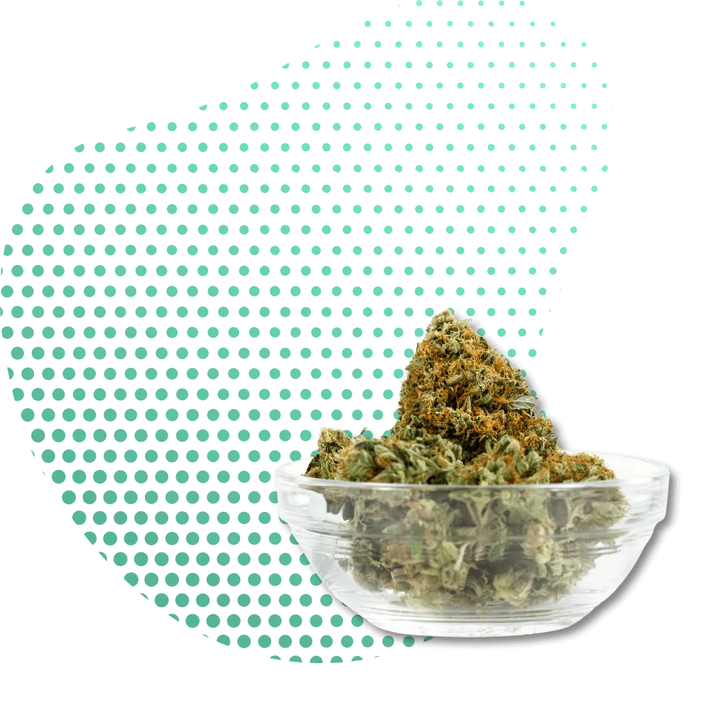 10-OH-THC-Canapuff