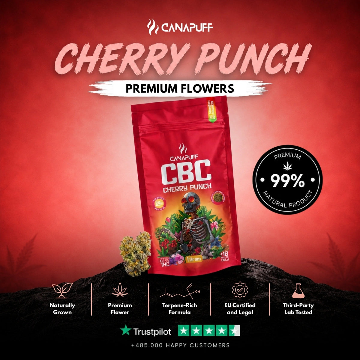 CBC Fiori Cherry Punch 69% – infiorescenze, foto 2