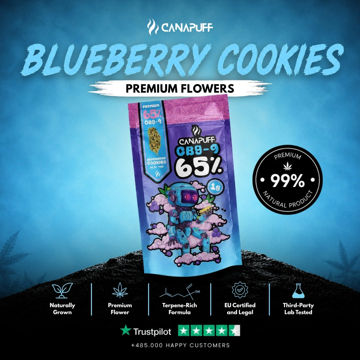 CBG9 Fiori Blueberry Cookie 65% – infiorescenze, foto 2
