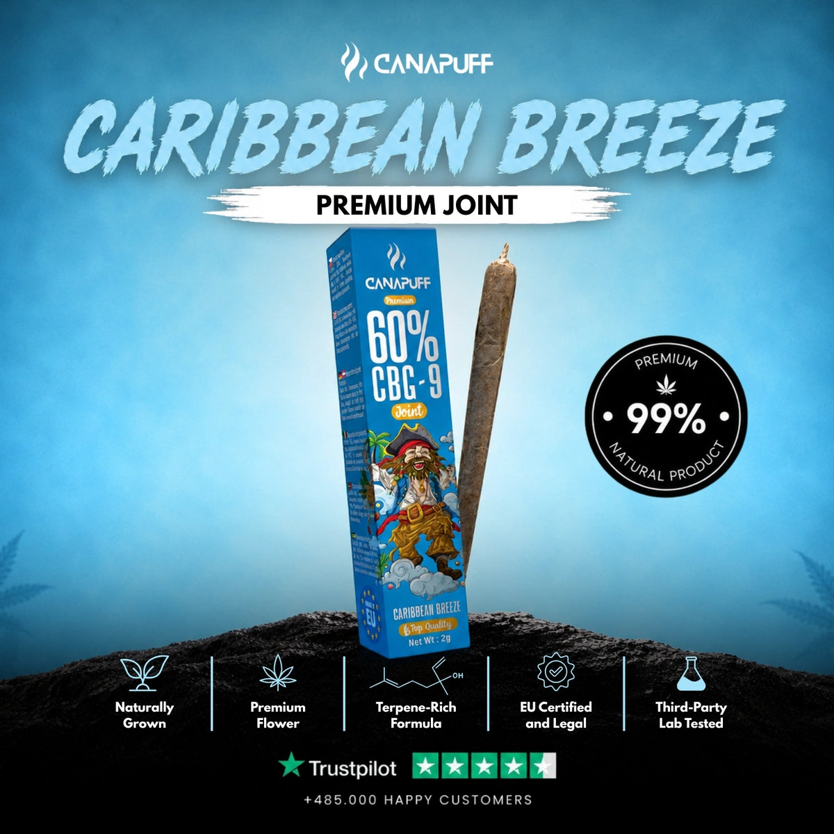 CBG9 Joint Caribbean Breeze 60% – joint pre-rollato, foto 2