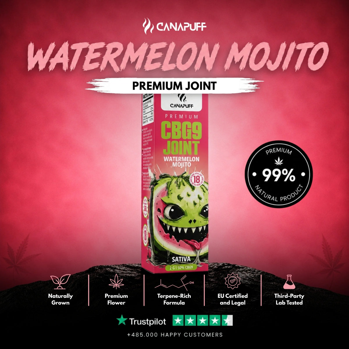 CBG9 Joint Watermelon Mojito 50% 2g – joint pre-rollato, foto 2