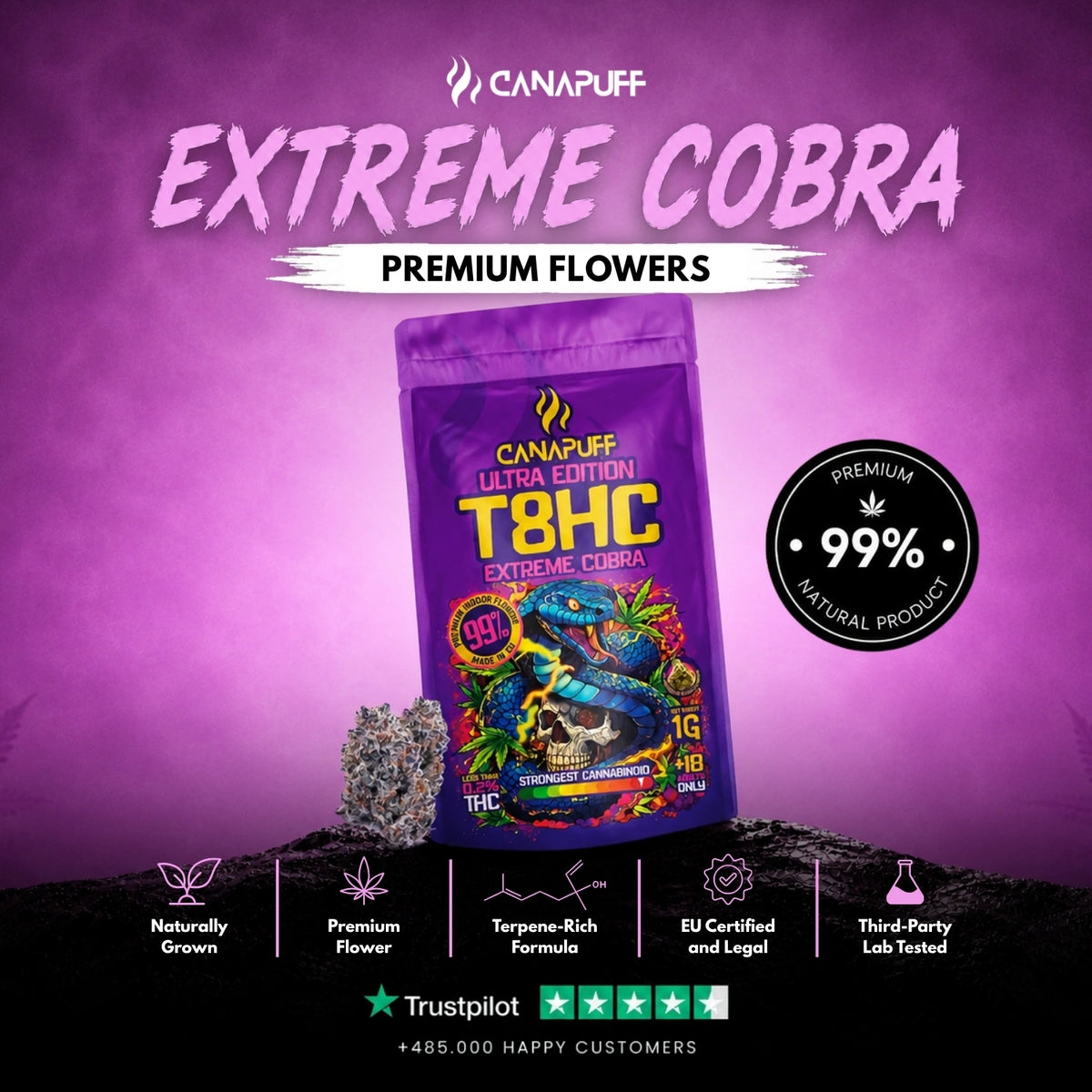 T8HC Fiori Extreme Cobra 99% – infiorescenze, foto 2