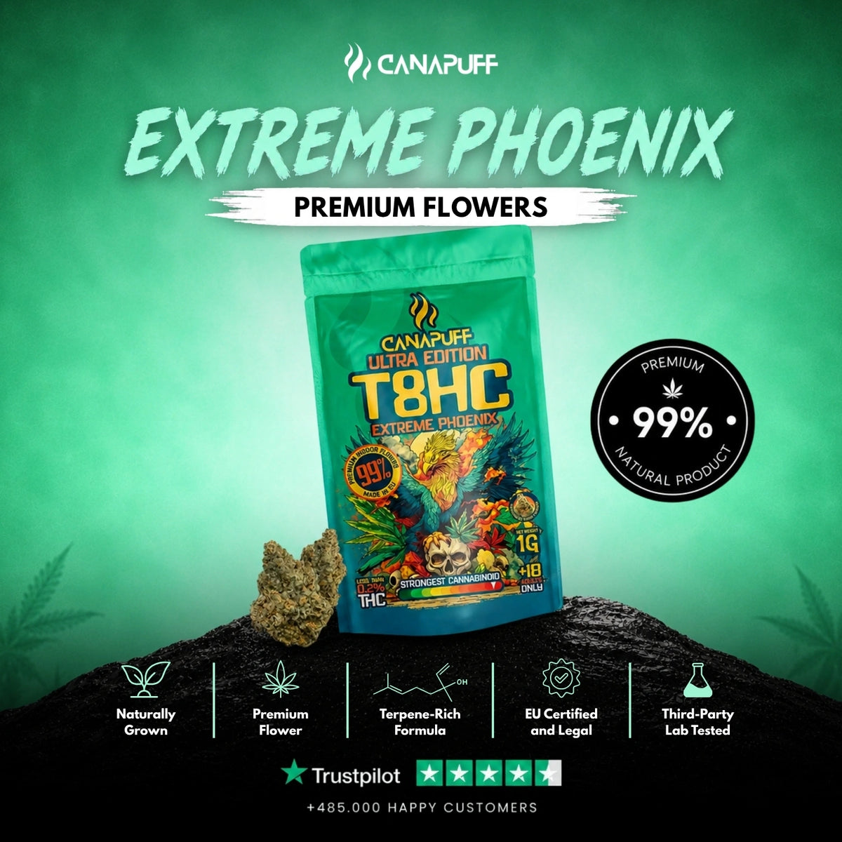 T8HC Fiori Extreme Phoenix 99% – infiorescenze, foto 2