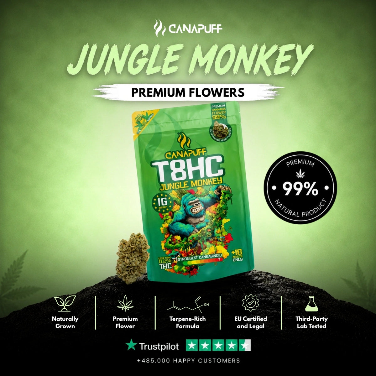 T8HC Fiori Jungle Monkey 99% – infiorescenze, foto 2