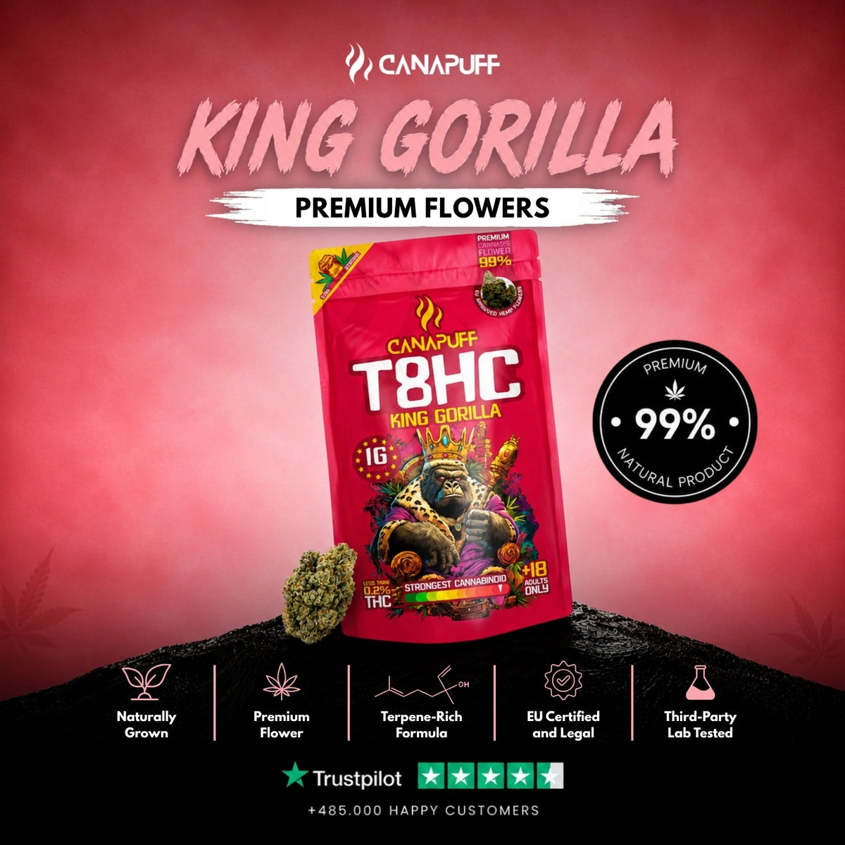 T8HC Fiori King Gorilla 99% – infiorescenze, foto 2