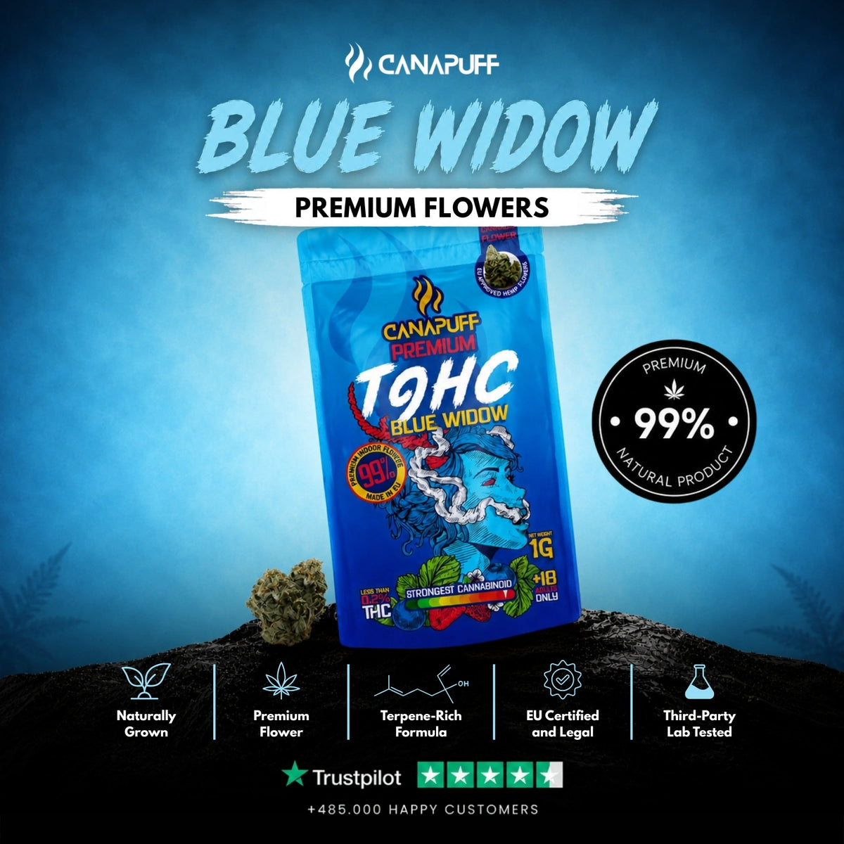 TⳊHC Fiori Blue Widow 99% – infiorescenze, foto 2