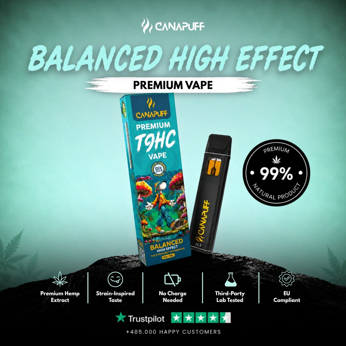 TⳊHC Vape Balanced 95% 1ml – vape pen usa e getta, foto 2