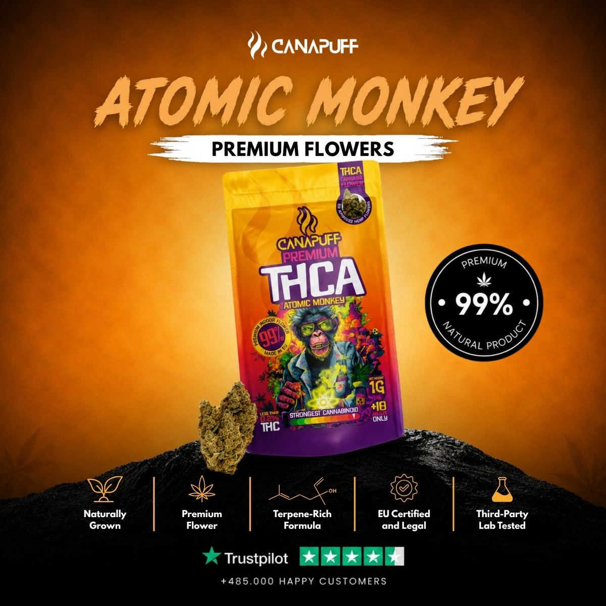 THCA Fiori Atomic Monkey 99% – infiorescenze, foto 2