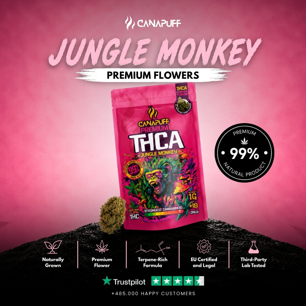 THCA Fiori Jungle Monkey 99% – infiorescenze, foto 2