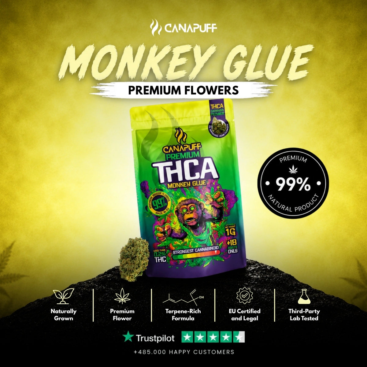 THCA Fiori Monkey Glue 99% – infiorescenze, foto 2