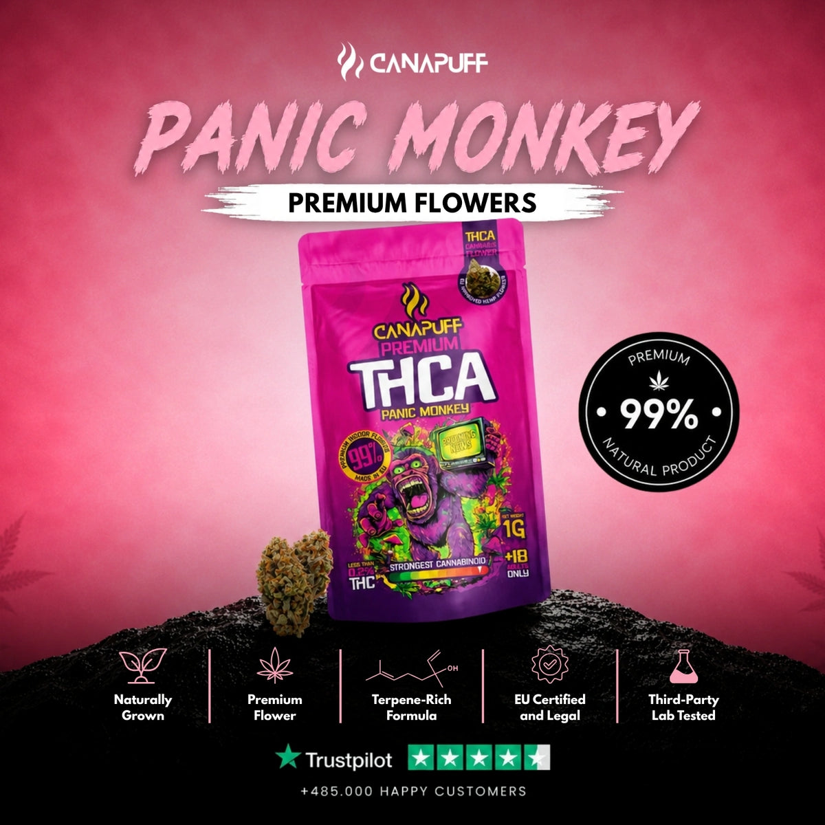 THCA Fiori Panic Monkey 99% – infiorescenze, foto 2